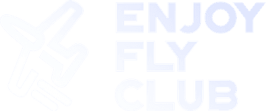 FlyPedro logo